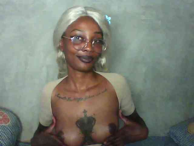 Veegee webcam