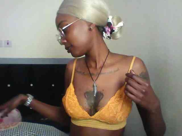 Veegee webcam
