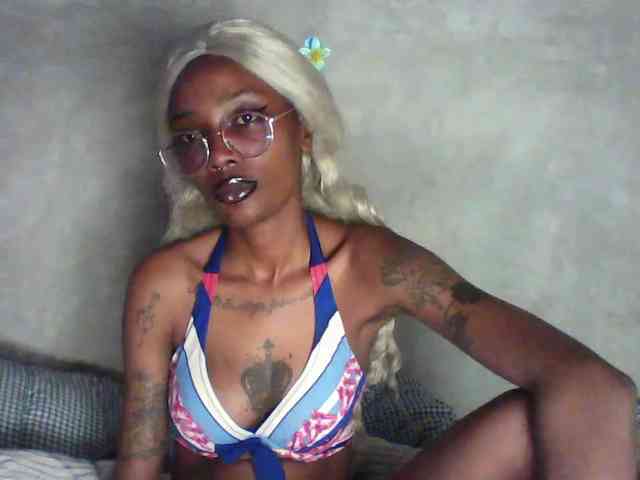 Veegee webcam