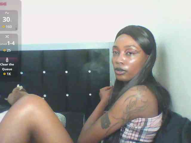 Veegee webcam