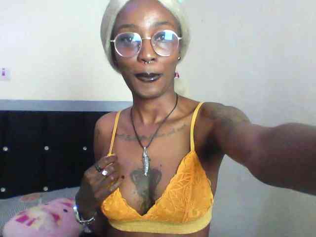 Veegee webcam