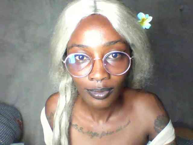 Veegee webcam