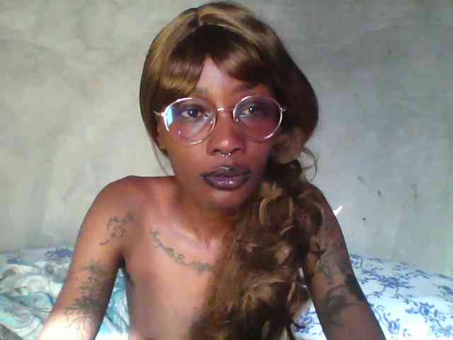 Veegee webcam