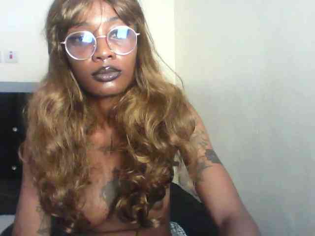 Veegee webcam