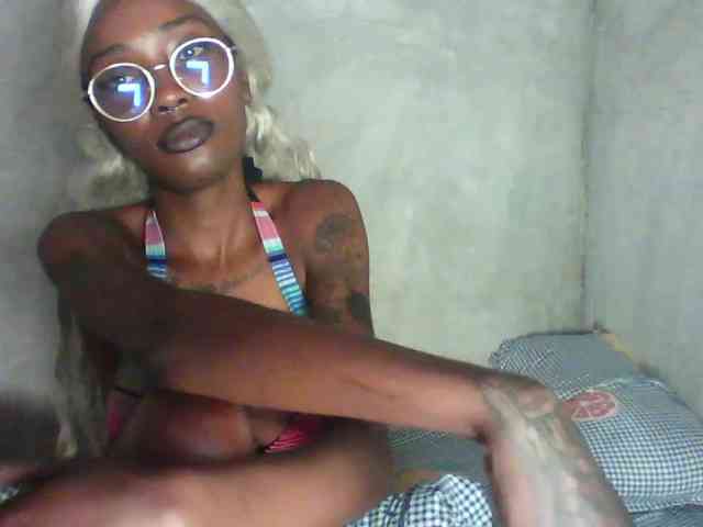 Veegee webcam
