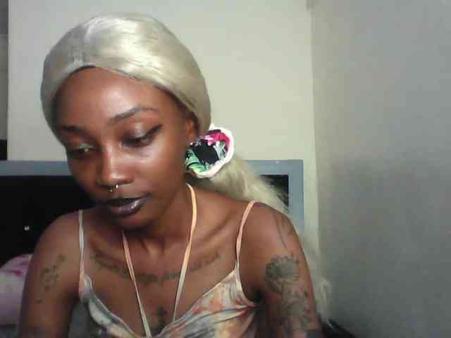 Veegee webcam
