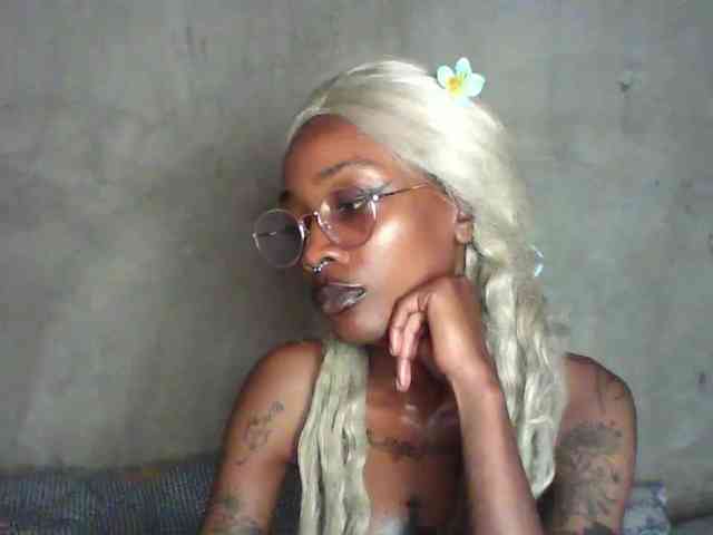 Veegee webcam