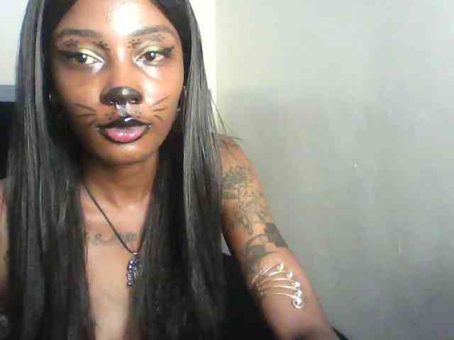 Veegee webcam