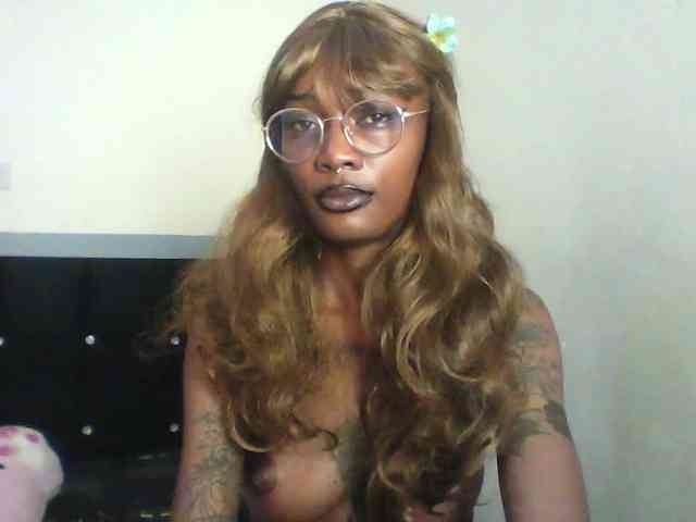 Veegee webcam