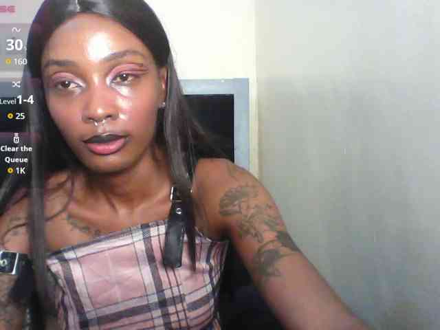 Veegee webcam