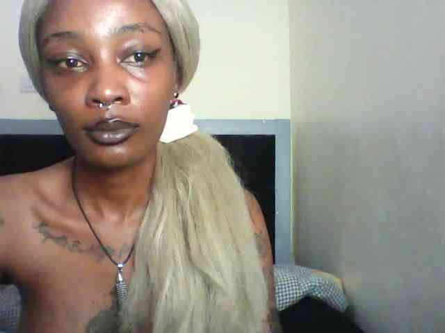 Veegee webcam