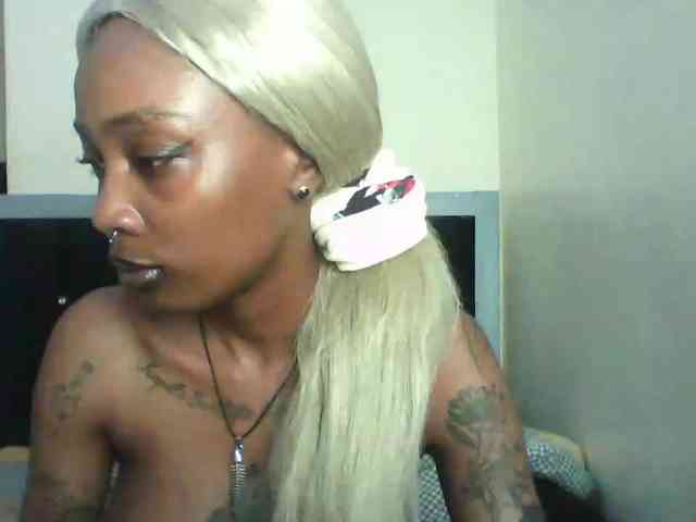 Veegee webcam