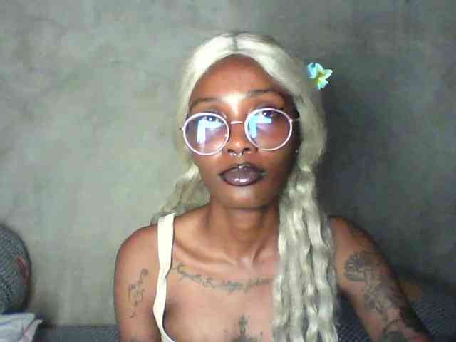 Veegee webcam