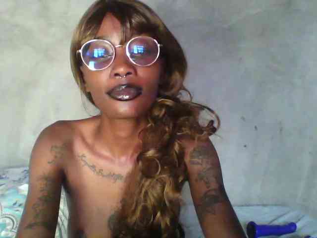 Veegee webcam