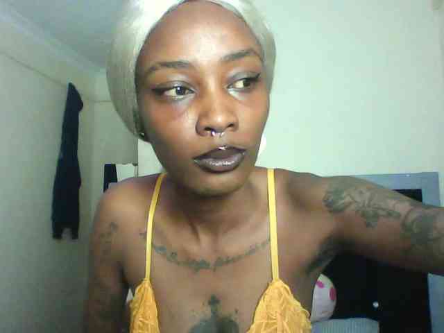 Veegee webcam