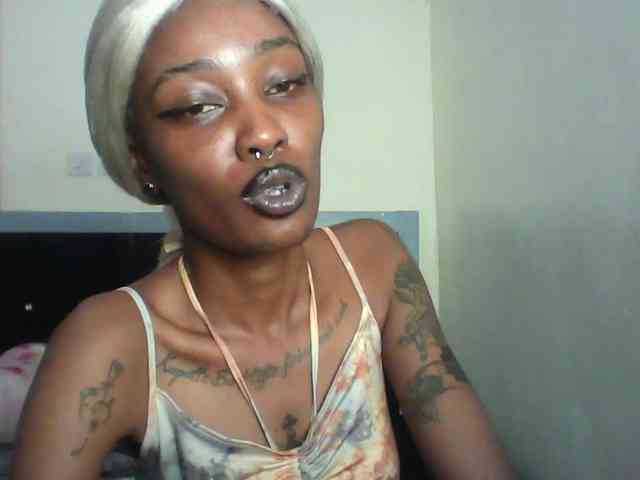 Veegee webcam