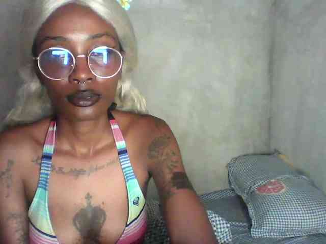 Veegee webcam