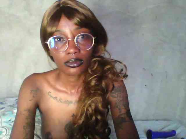 Veegee webcam