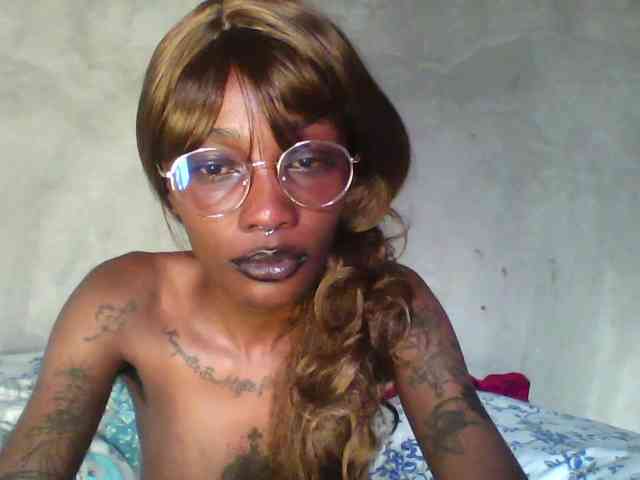 Veegee webcam