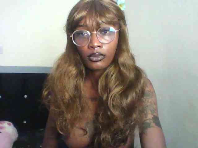 Veegee webcam