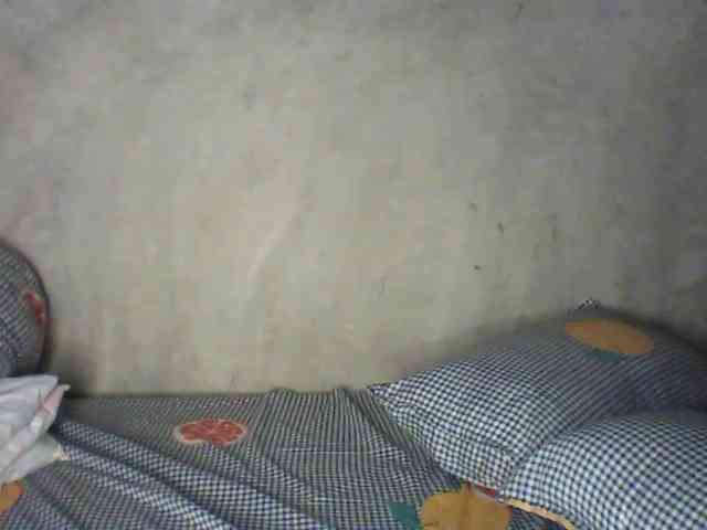 Veegee webcam