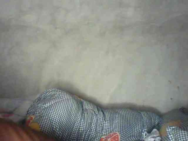 Calin33