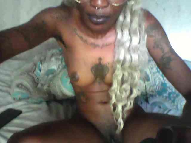 Veegee webcam