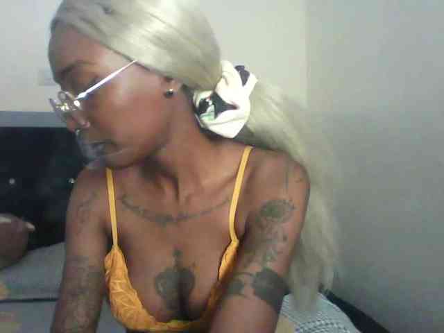 Veegee webcam