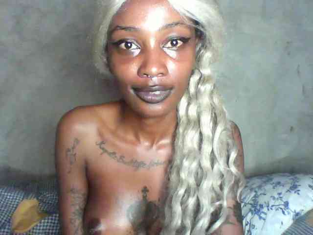 Veegee webcam