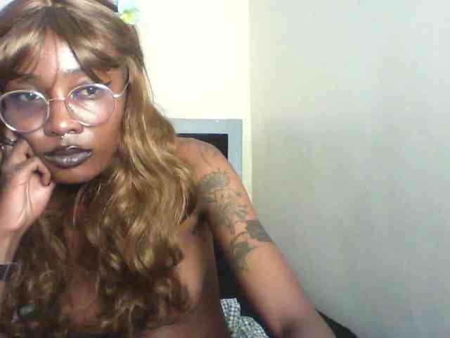 Veegee webcam