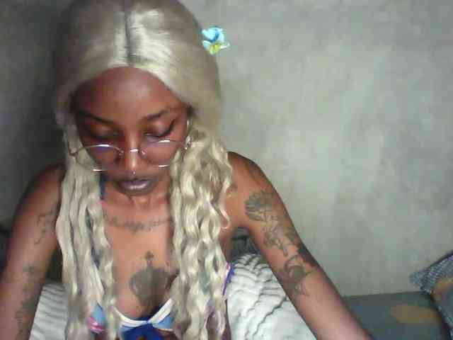 Veegee webcam