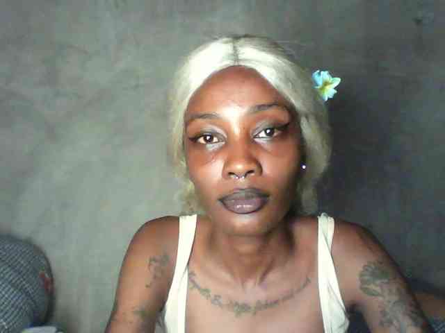 Veegee webcam