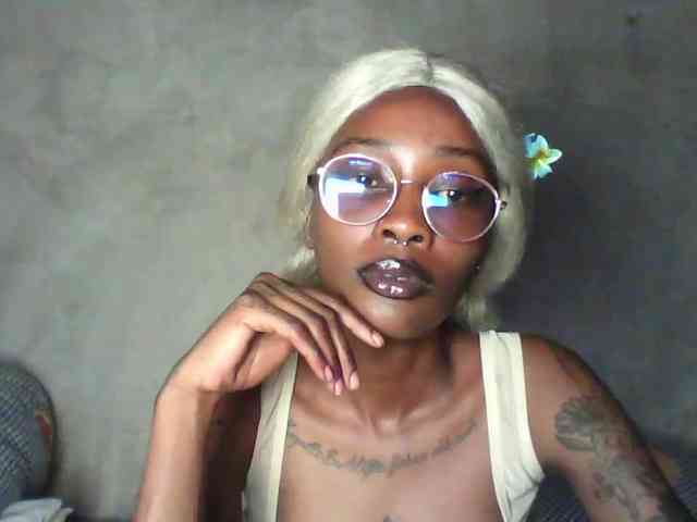 Veegee webcam