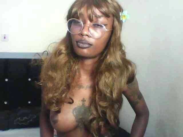 Veegee webcam