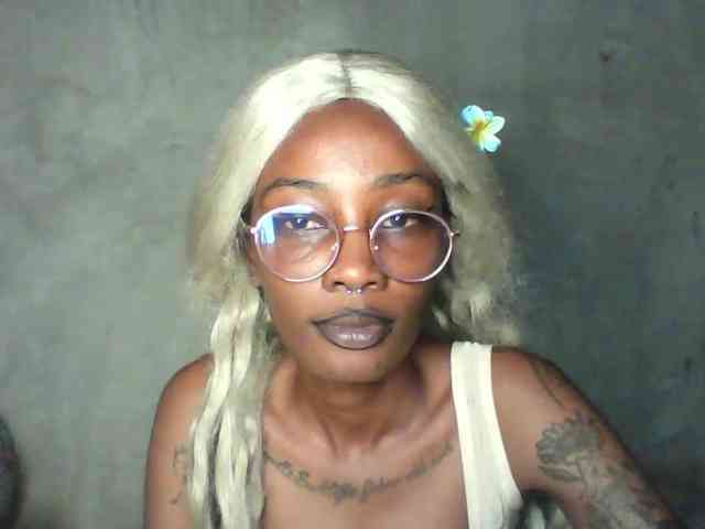 Veegee webcam