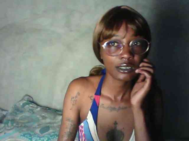 Veegee webcam