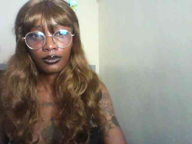 Veegee webcam