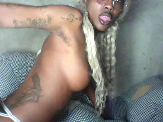Veegee webcam