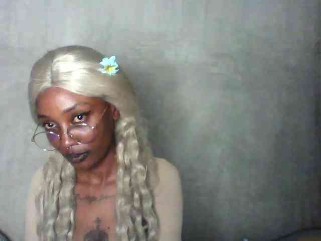 Veegee webcam