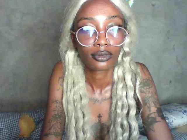 Veegee webcam
