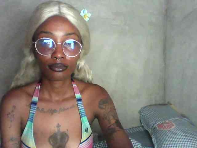 Veegee webcam