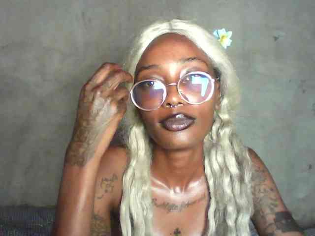 Veegee webcam