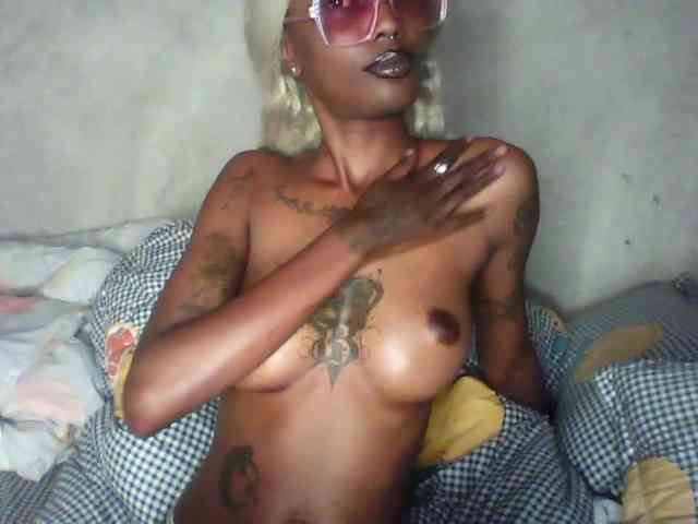 Veegee webcam
