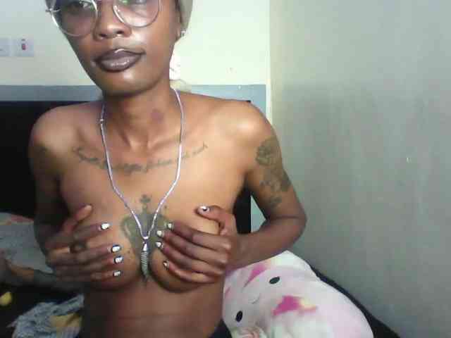 Veegee webcam