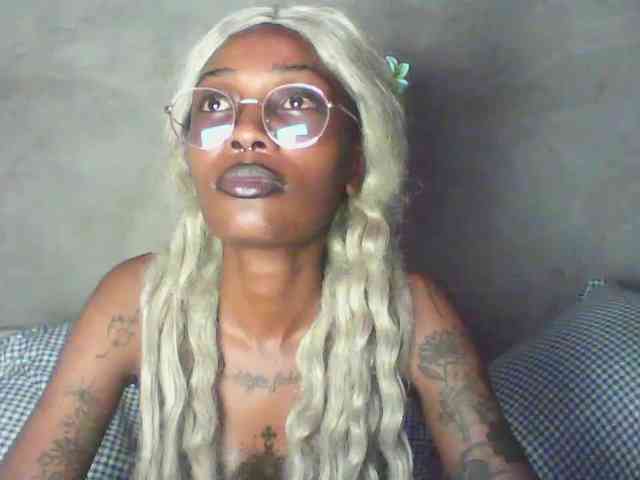 Veegee webcam
