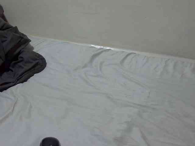 Prettyslim webcam