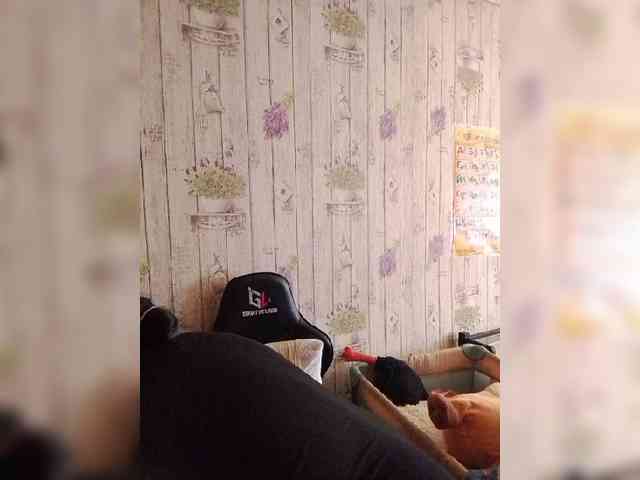 Milay-ya webcam