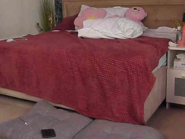 ZuriSaint webcam