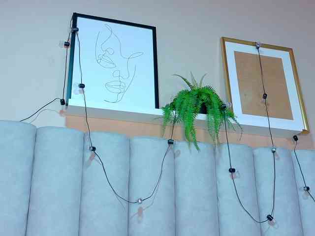 Модель: Mia-Anderson