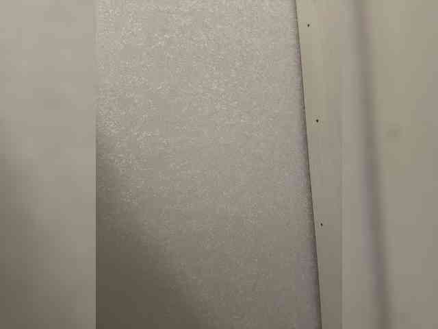 SunnyBlossom webcam